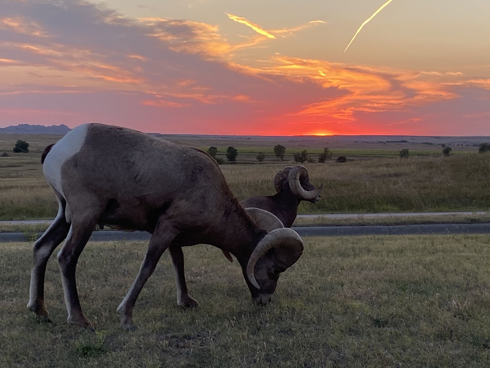 Sunset in the Badlands